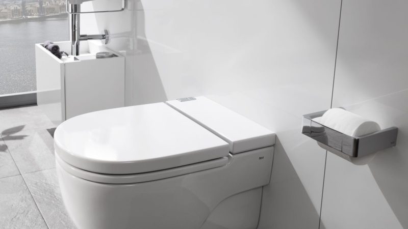 Roca In-Tank Meridian WC: Look, no cistern!